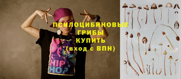ПСИЛОЦИБИНОВЫЕ ГРИБЫ Осинники