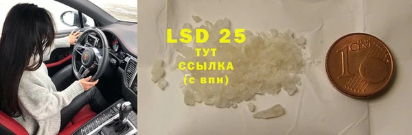 ПСИЛОЦИБИНОВЫЕ ГРИБЫ Осинники