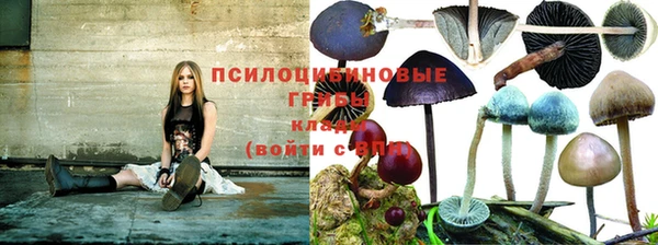 героин Няндома
