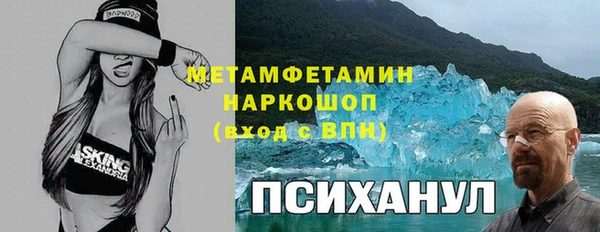 ПСИЛОЦИБИНОВЫЕ ГРИБЫ Осинники