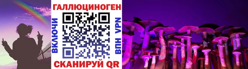 mega tor  Козловка  Галлюциногенные грибы Psilocybine cubensis 